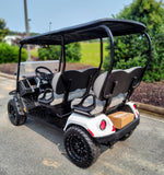 2025 EZGO LIBERTY ELITE 2.2